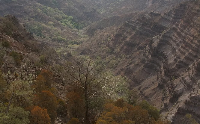 Day Forest National Park